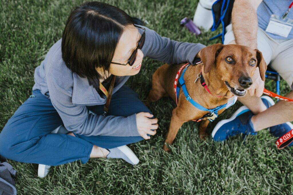 Pets in the office and therapy dogs support boosted mental health at work.